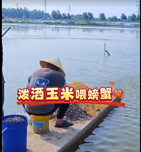 截图20260509091703.png