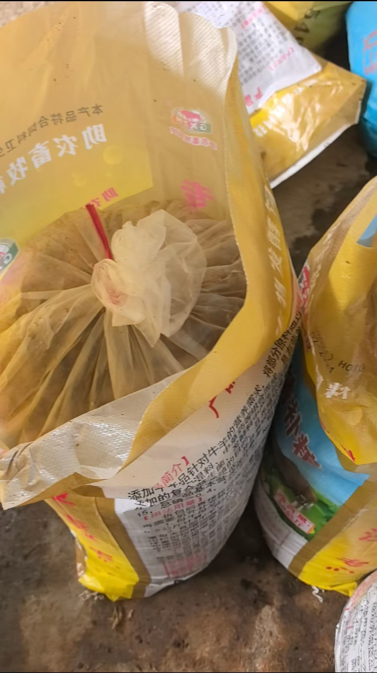 微信图片_20260511163546_315_8.jpg