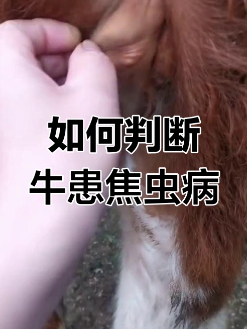 微信截图_20260512095437.jpg