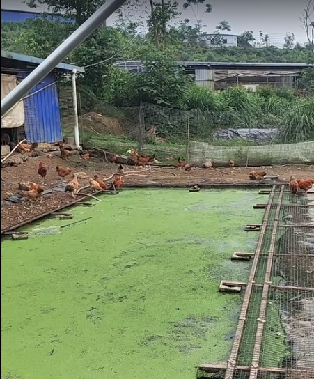 截图20260513100146.png