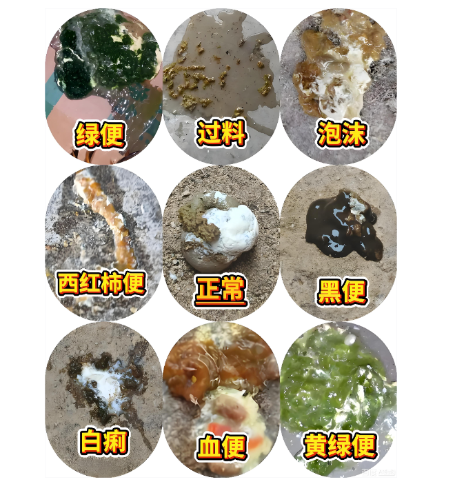 QQ图片20260514101059.png