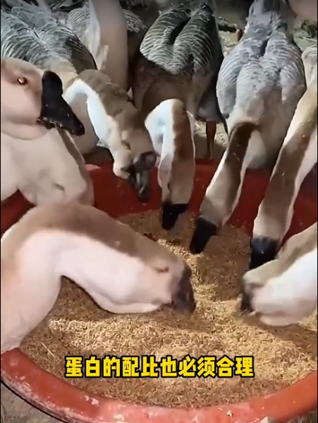 截图20260515102709.png 截图20260515102709.png