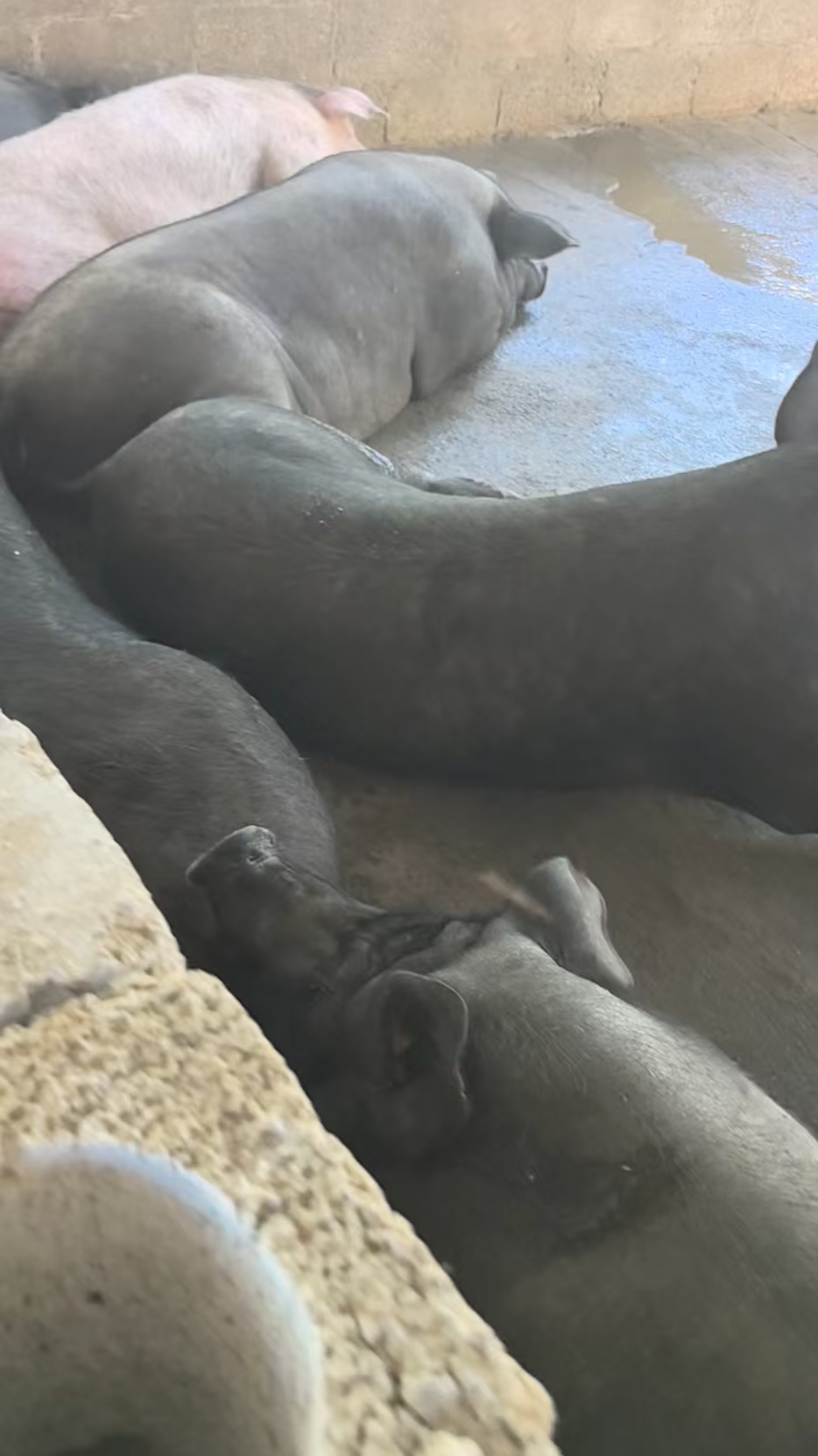 微信图片_20260515102849_351_8.jpg