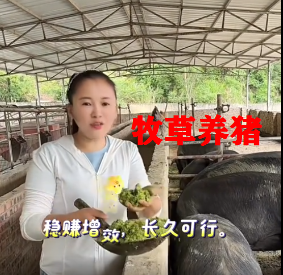 截图20260522091748.png 截图20260522091748.png