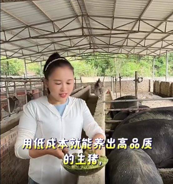 截图20260522092511.png 截图20260522092511.png