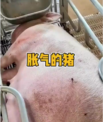 截图20260525142511.png 截图20260525142511.png
