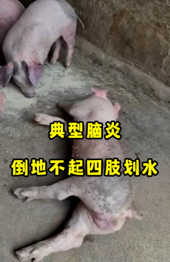 截图20260526101023.png