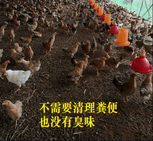 QQ图片20260526144530.png QQ图片20260526144530.png