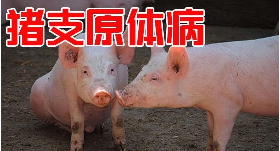 截图20260603094157.png