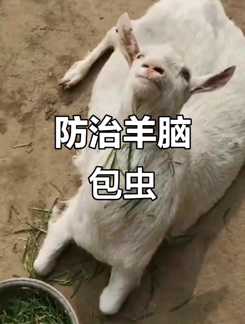 微信截图_20260608090625.jpg