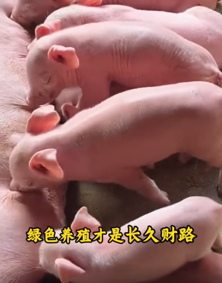 截图20260609105641.png 截图20260609105641.png