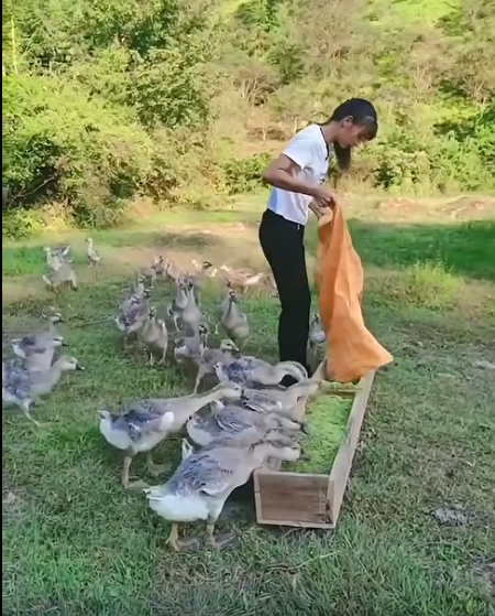 截图20260613093844.png 截图20260613093844.png