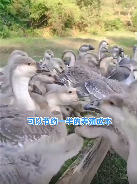 截图20260613093941.png 截图20260613093941.png
