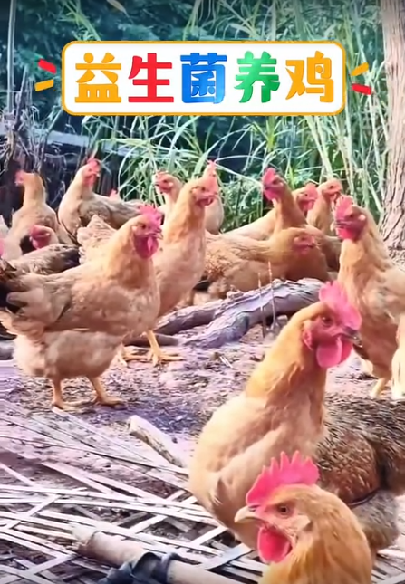 截图20260616092040.png 截图20260616092040.png