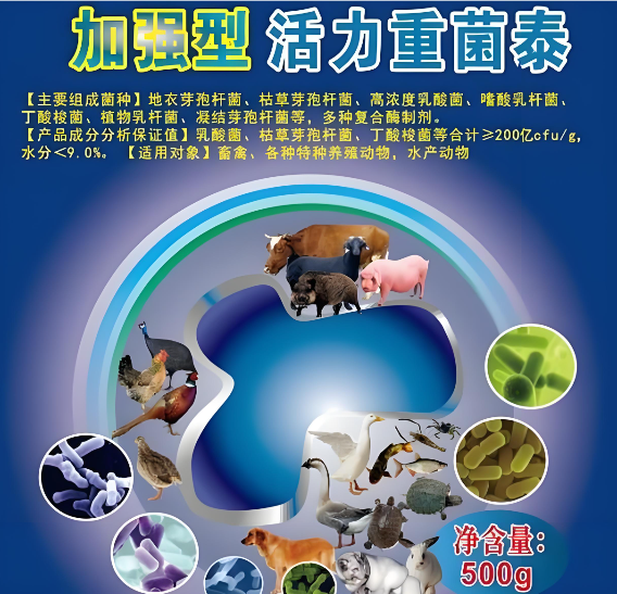 6880d3e8-5c6d-4342-8862-874185f422f1.png 6880d3e8-5c6d-4342-8862-874185f422f1.png