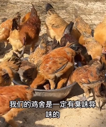 截图20260617092254.png 截图20260617092254.png