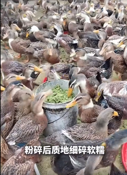 截图20260618091750.png 截图20260618091750.png