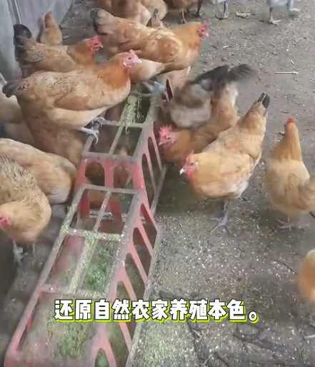 截图20260704092412.png 截图20260704092412.png