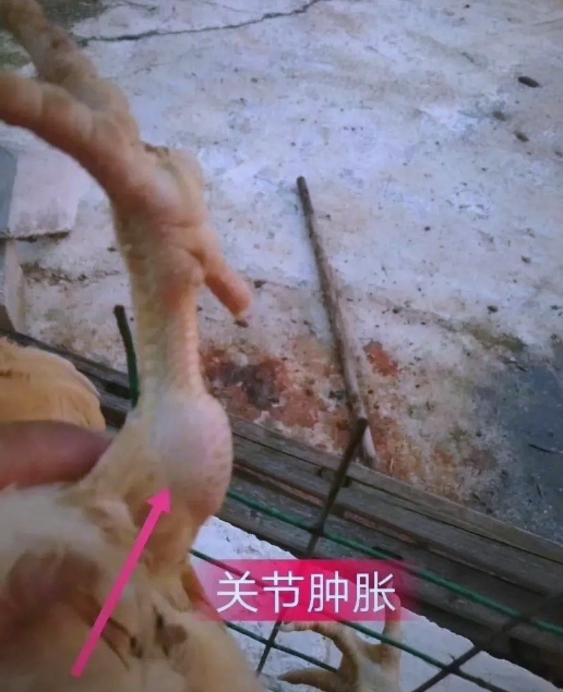 微信截图_20260706092122.jpg 微信截图_20260706092122.jpg