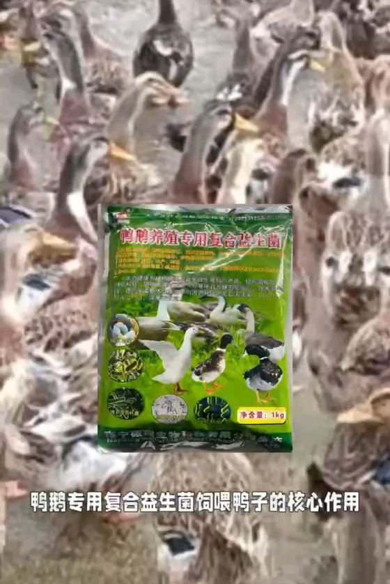 D347AD4A52D4840149D8E6D2EB56A8B4.png D347AD4A52D4840149D8E6D2EB56A8B4.png