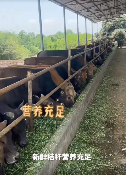 截图20260717105925.png 截图20260717105925.png