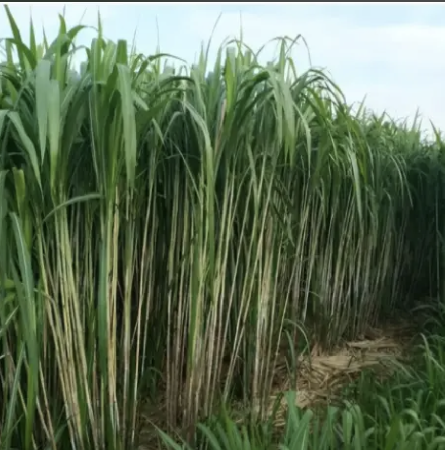 截屏2026-07-22 09.53.35.png 截屏2026-07-22 09.53.35.png