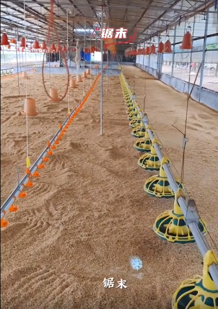截图20260725103357.png 截图20260725103357.png