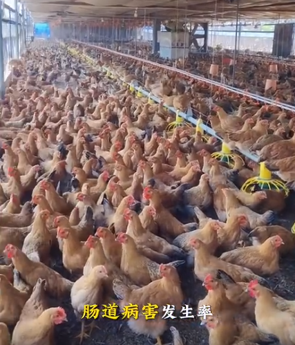 截图20260725104237.png 截图20260725104237.png