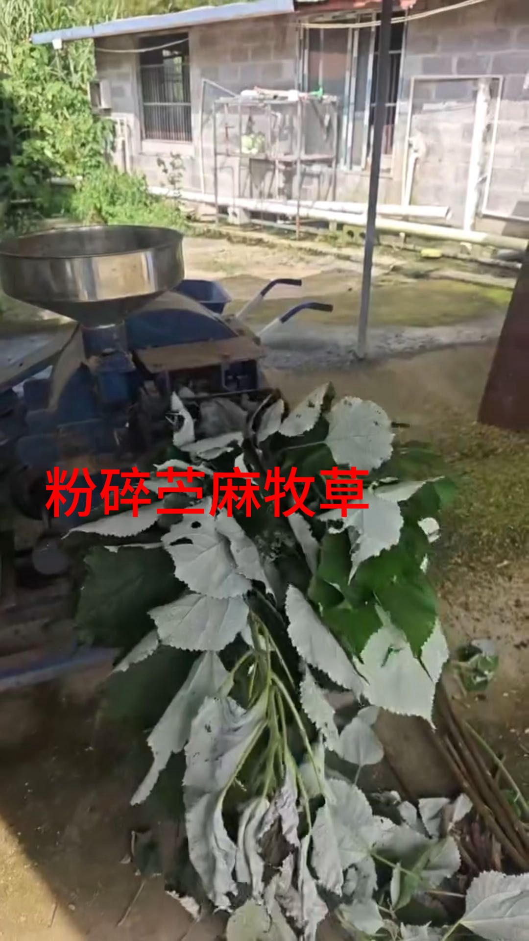 QQ图片20260706152133.jpg QQ图片20260706152133.jpg