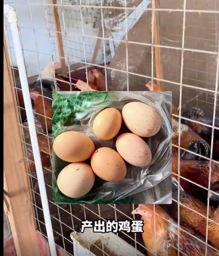 截图20260807105924.png