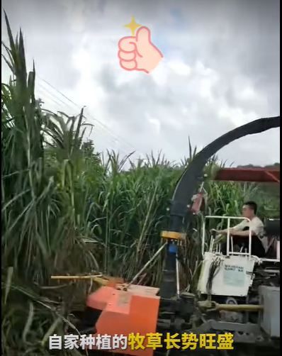 QQ浏览器截图20260810001937.png QQ浏览器截图20260810001937.png