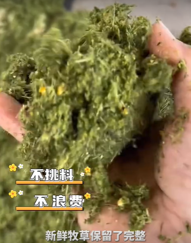 QQ浏览器截图20260810002217.png QQ浏览器截图20260810002217.png