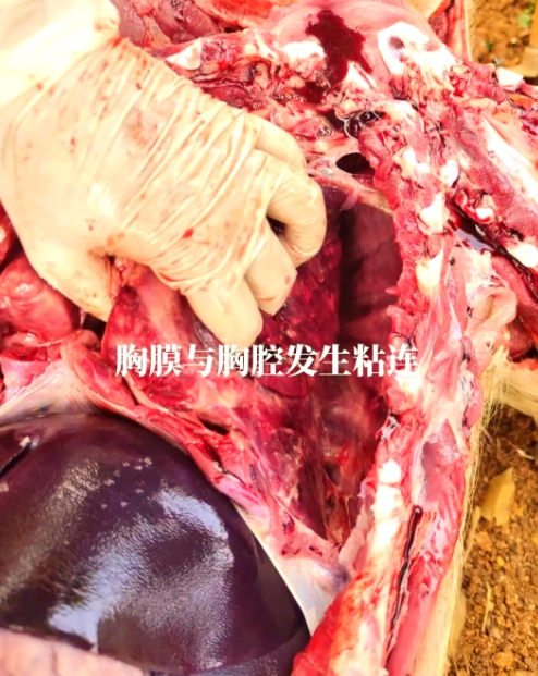 微信截图_20260810091627.jpg
