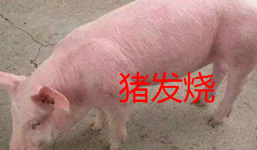 截图20260813095822.png