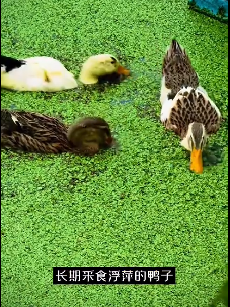 截图20260709091125.png 截图20260709091125.png