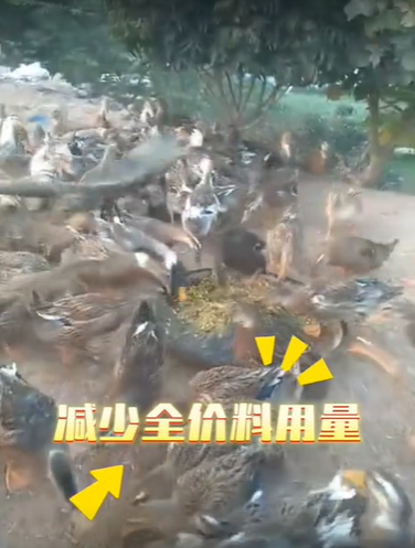 QQ浏览器截图20260821224007.png QQ浏览器截图20260821224007.png