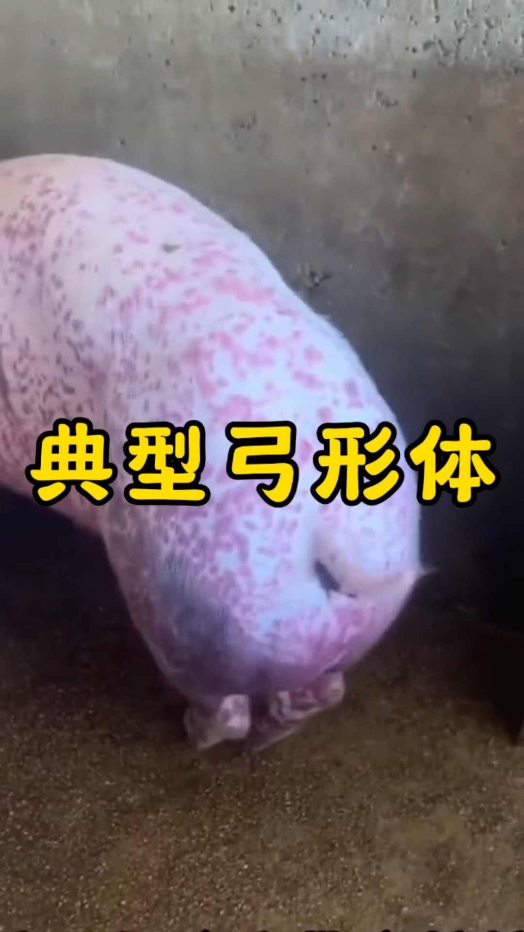 微信图片_20260824092047.jpg