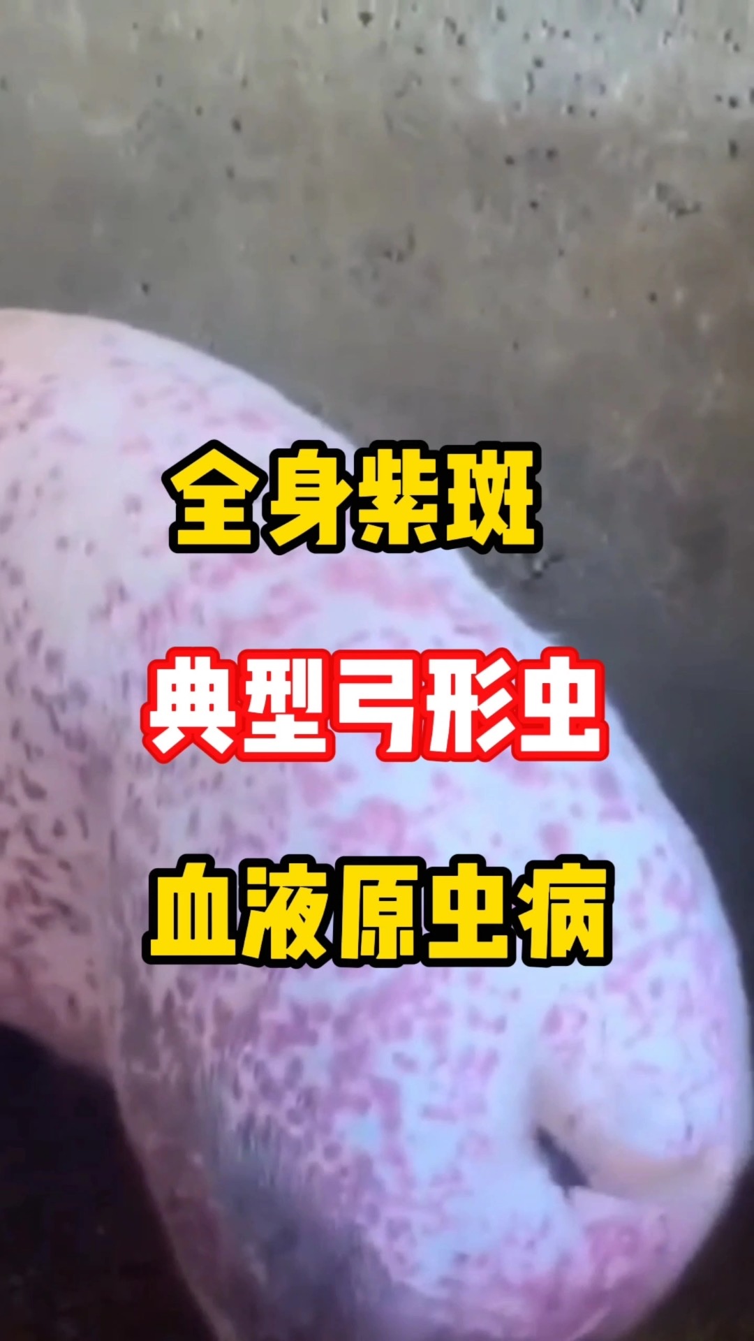 微信图片_20260831094227.jpg