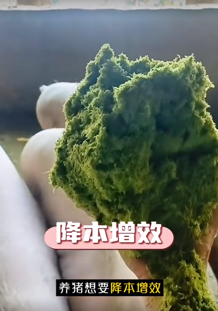 截图20260901093737.png 截图20260901093737.png