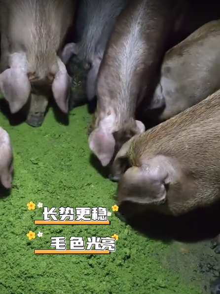 截图20260901102246.png 截图20260901102246.png