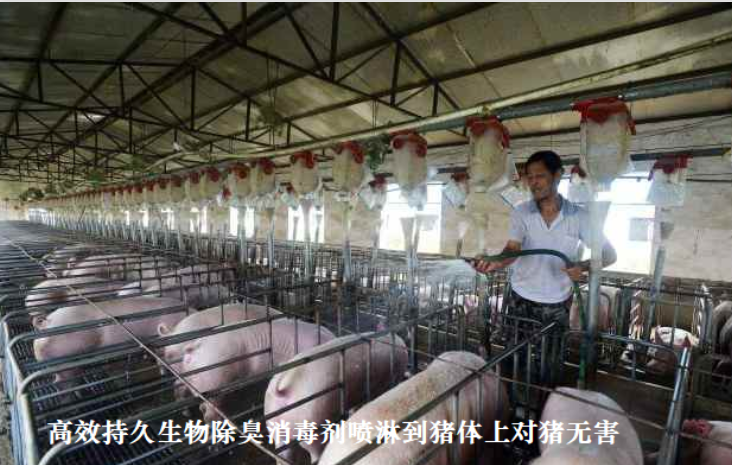 QQ浏览器截图20260902230127.png