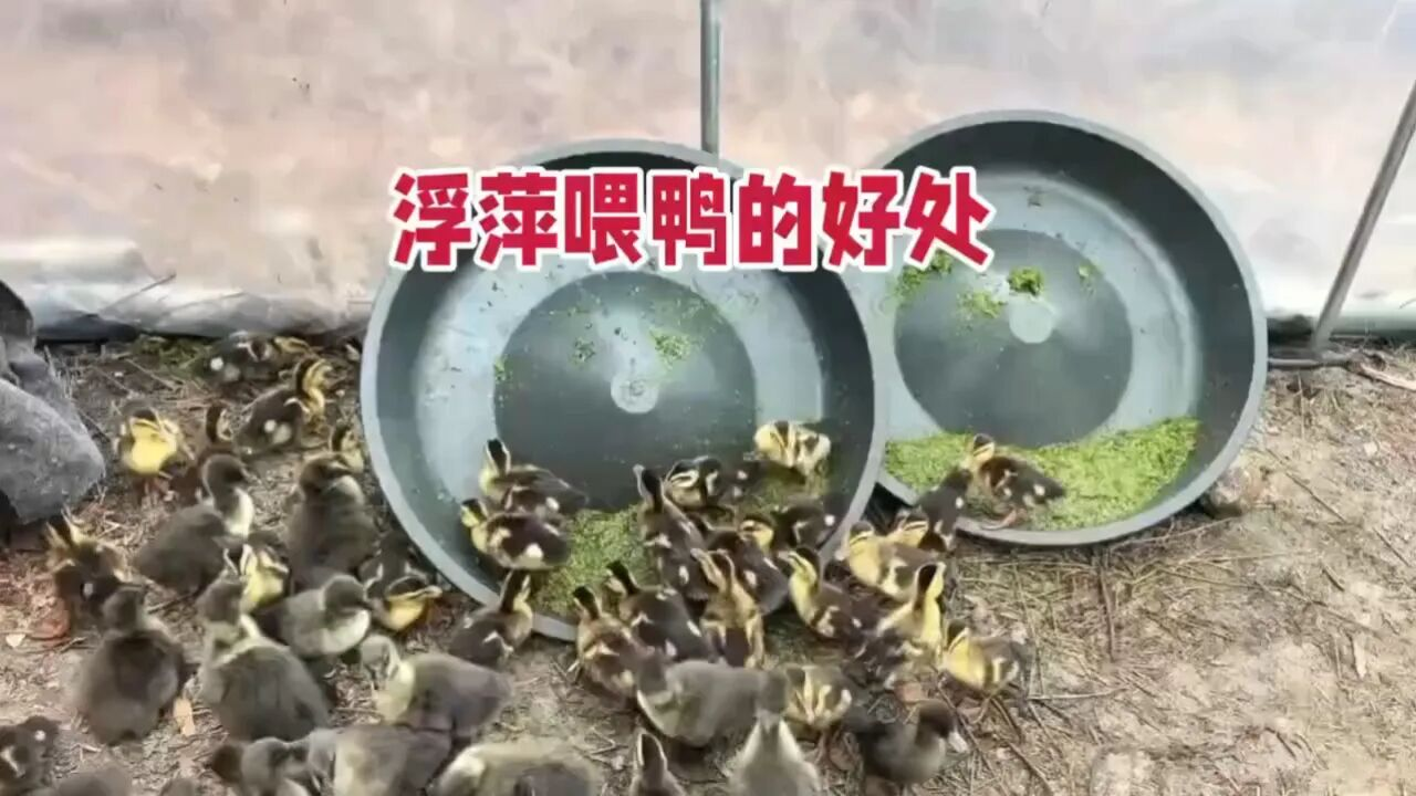QQ图片20260521145744.png