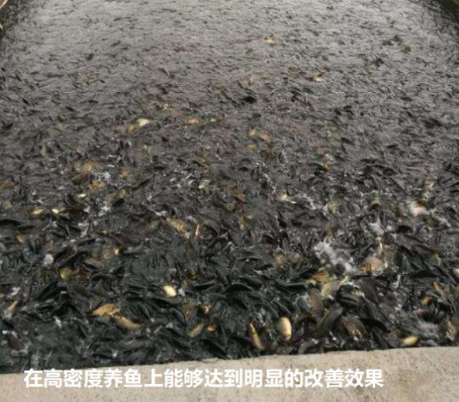 QQ浏览器截图20260904223155.png