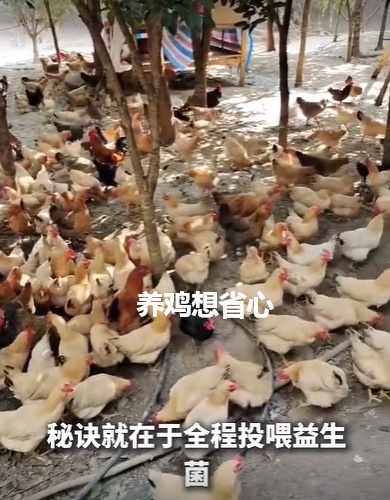 QQ浏览器截图20260908213426.png QQ浏览器截图20260908213426.png