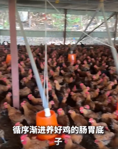 QQ浏览器截图20260908213840.png QQ浏览器截图20260908213840.png