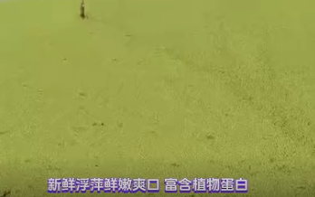 截图20260911105538.png