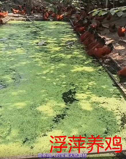 截图20260911110009.png