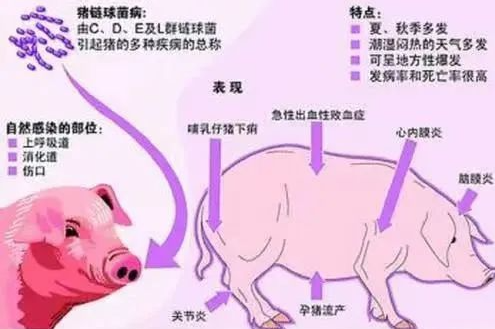 截图20260911111621.png
