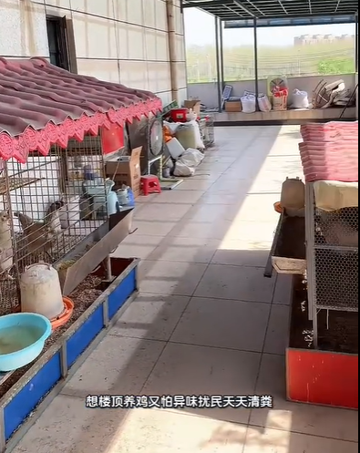 QQ浏览器截图20260911235427.png