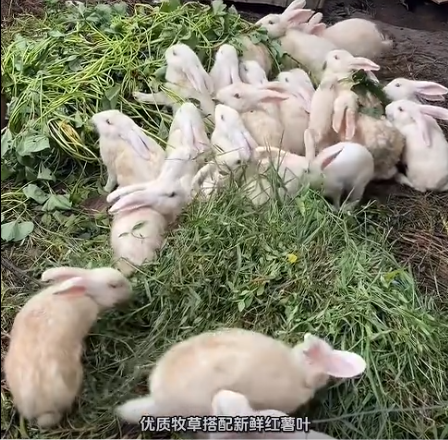 截图20260929103013.png 截图20260929103013.png